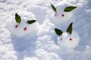 冬に雪が降る理由