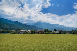 田舎暮らし　住みやすい